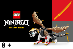 LEGO® NINJAGO®
