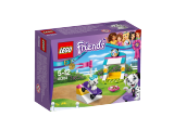 LEGO Friends Pochoutky pro štěňátka 41304