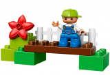 LEGO DUPLO Divoké kachny 10581
