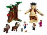 LEGO Harry Potter Zapovězený les: Setkání Drápa a profesorky Umbridgeové 75967